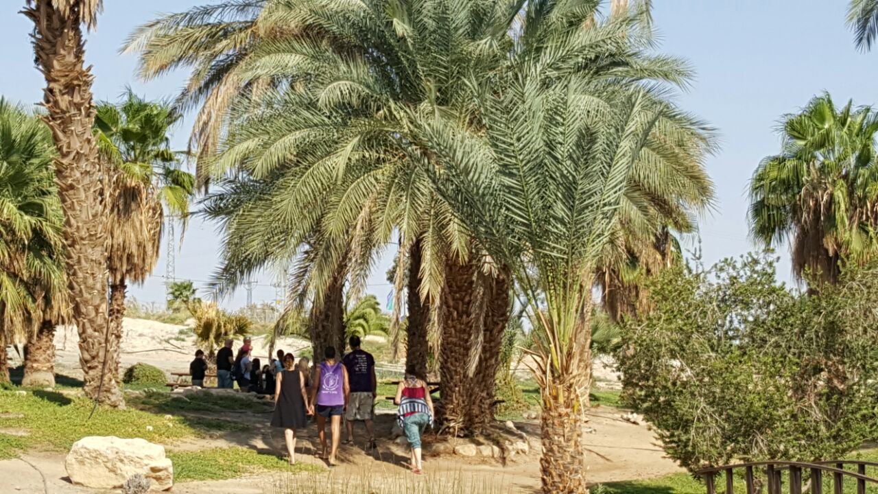 פארק ספיר - צילום שמעון פחימה 