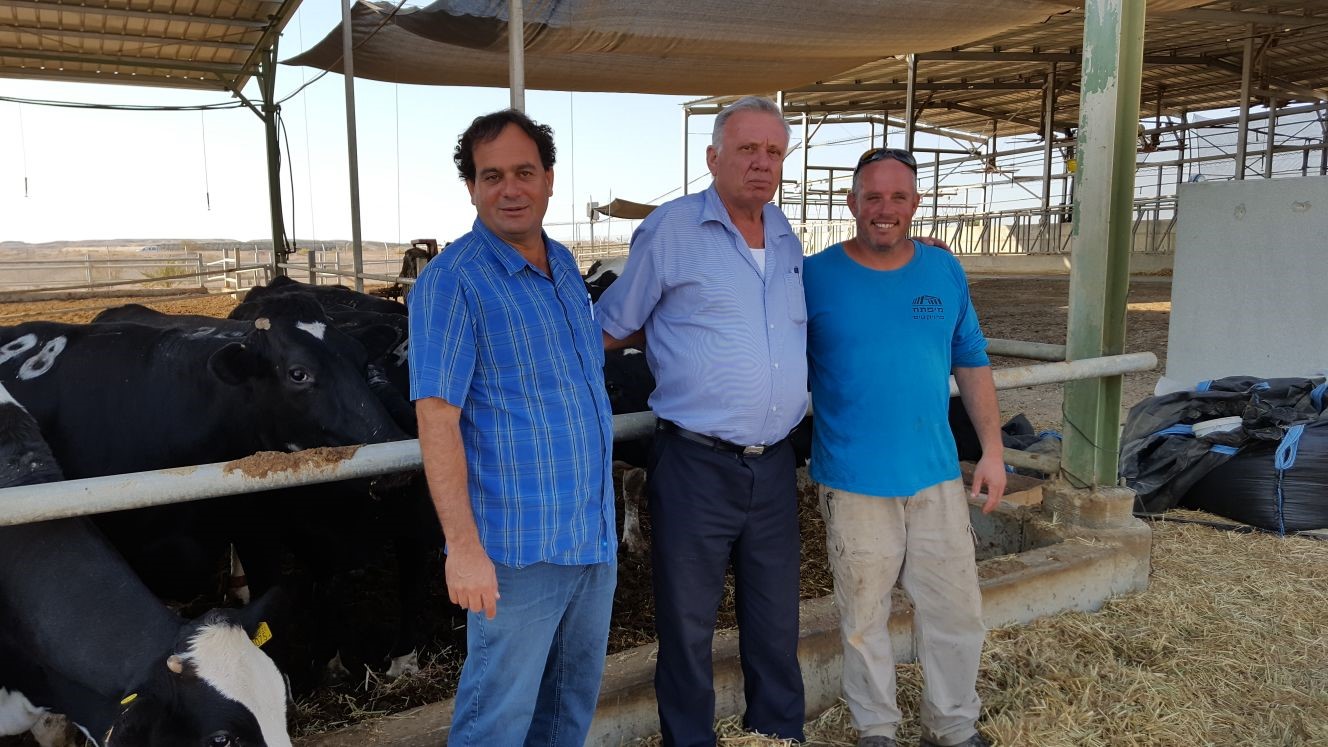 חכ ברושי ברפת עידן