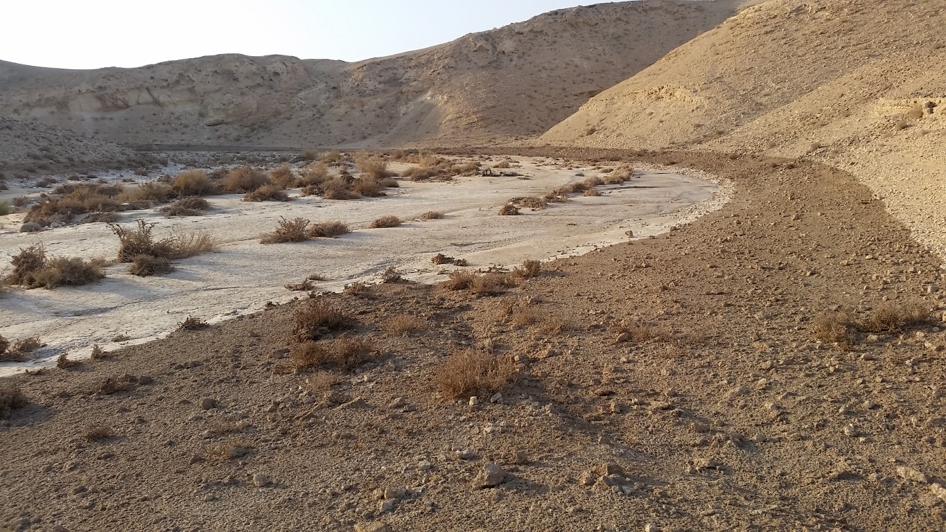 אסון אשלים 2017