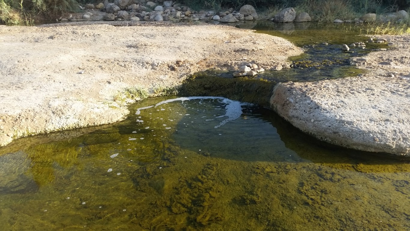 מים מזוהמים בעין עקרבים