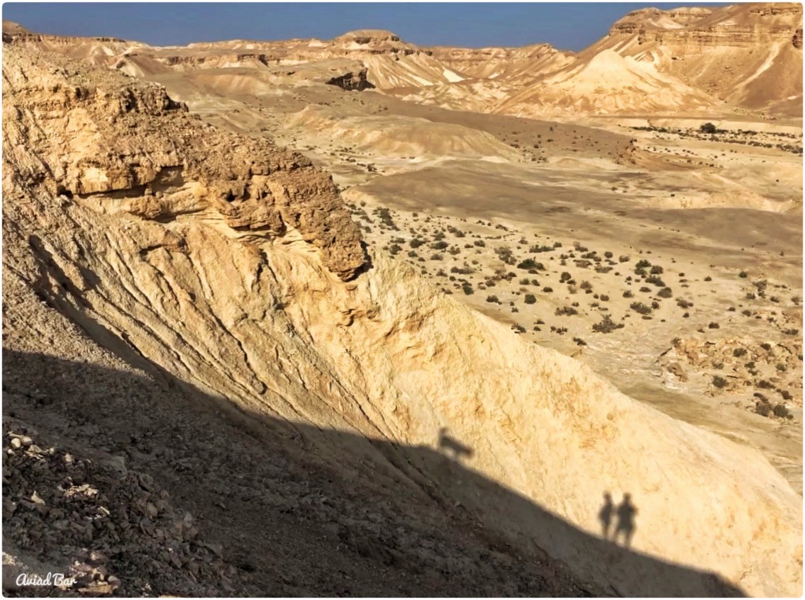 משפחת אביעד, צוקים