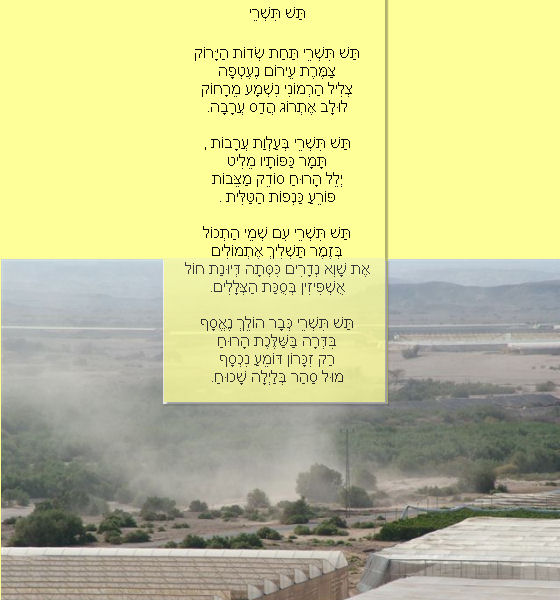 עלעול בשדות עין יהב