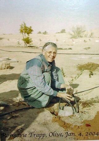 רוזמרי פון טראפ 