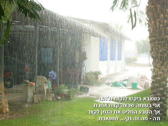 חצר משפחת עמירן - גשם