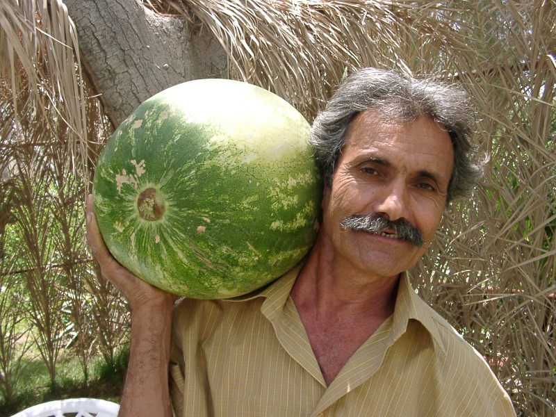 יעקב פטל לזכרו 