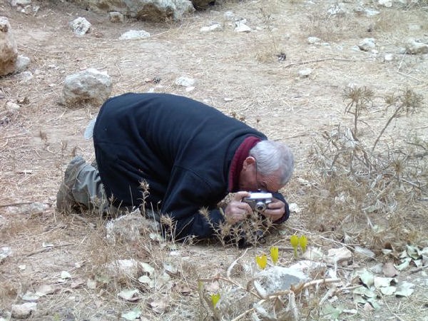 רני מצלפ חלמונית ממבט של נמלה צילום : מירלה עמירן 