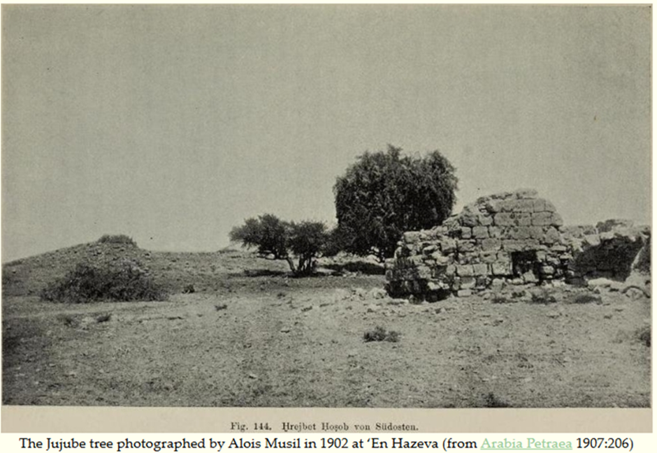 צילום של מוסיל , 1902