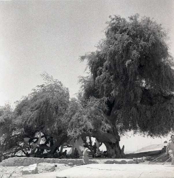 בוריס כרמי, 1949
