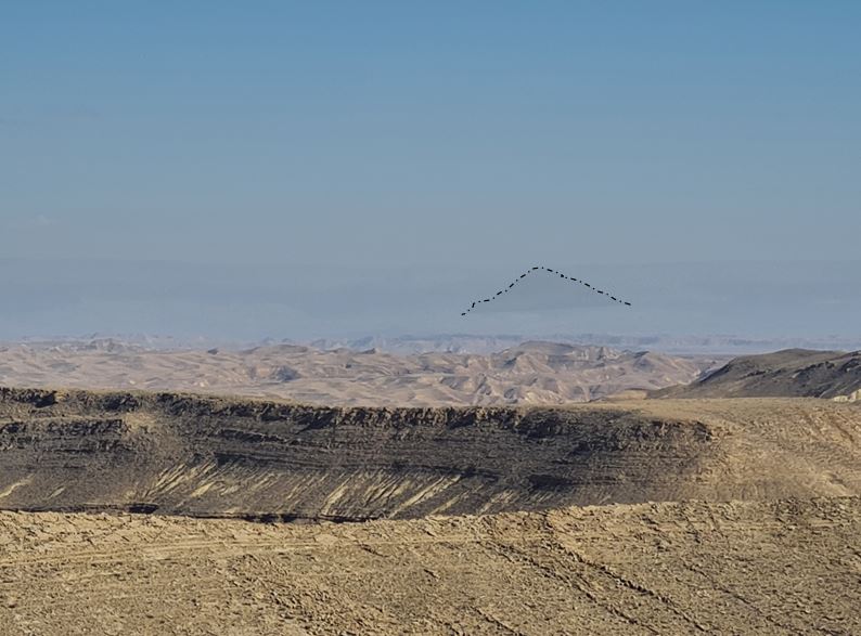 צלליתו של גבל הרון בהרי אדום כפי שהיא נראית מהר רמון מודגשת בקו מפוספס
