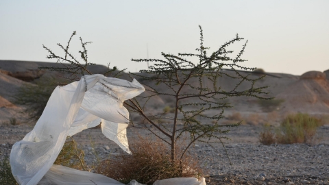 מקום 3 צעירים: עומר ויג , חצבה 