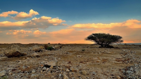 משולחן המועצה מס' 127- 04/09/26